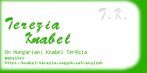 terezia knabel business card